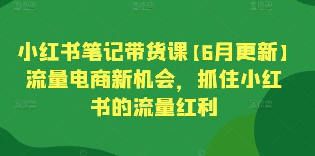 小红书笔记带货课【6月更新】流量电商新机会，抓住小红书的流量红利-泱泱学习社