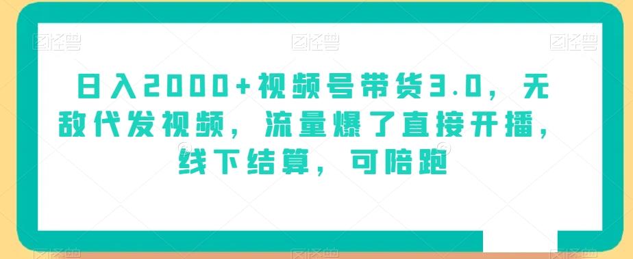 日入2000+视频号带货3.0，无敌代发视频，流量爆了直接开播，线下结算，可陪跑-泱泱学习社