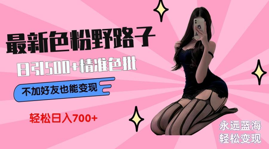 最新色粉变现野路子，日引500+老色批 可不加好友直接变现 小白轻松日入700+-泱泱学习社