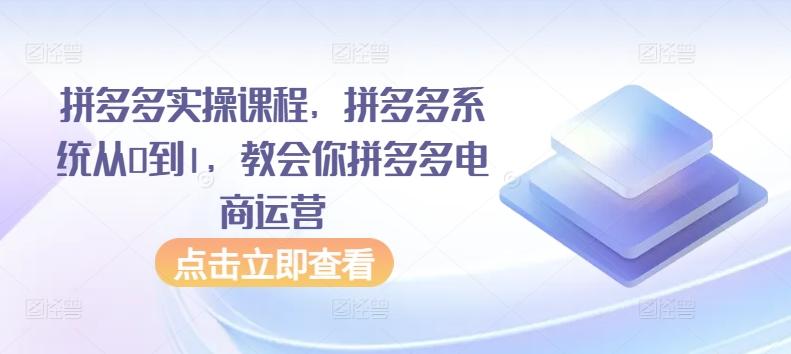 拼多多实操课程，拼多多系统从0到1，教会你拼多多电商运营-泱泱学习社