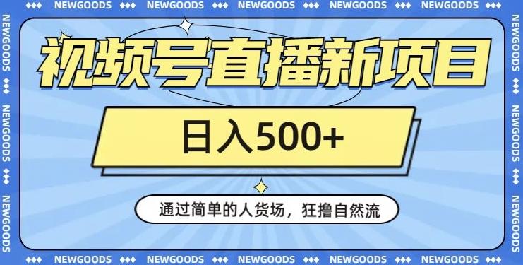 视频号直播新项目，通过简单的人货场，狂撸自然流，日入500+【260G资料】-泱泱学习社