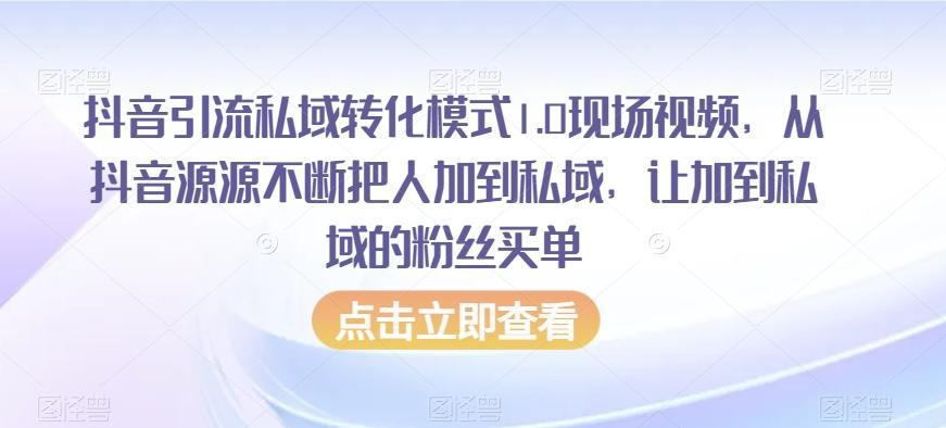 抖音引流私域转化模式1.0现场视频，从抖音源源不断把人加到私域，让加到私域的粉丝买单-泱泱学习社