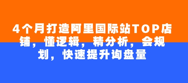 4个月打造阿里国际站TOP店铺，懂逻辑，精分析，会规划，快速提升询盘量-泱泱学习社
