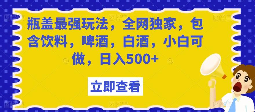 瓶盖最强玩法，全网独家，包含饮料，啤酒，白酒，小白可做，日入500+【揭秘】-泱泱学习社