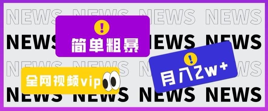 简单粗暴零成本，高回报，全网视频VIP掘金项目，月入2万＋【揭秘】-泱泱学习社