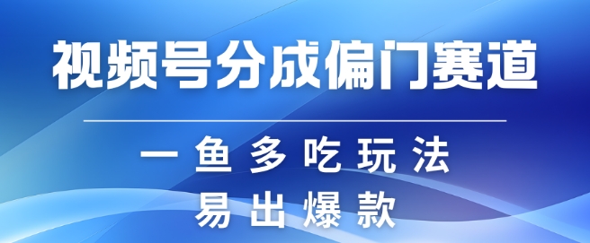 视频号创作者分成计划偏门类目，容易爆流，实拍内容简单易做【揭秘】-泱泱学习社