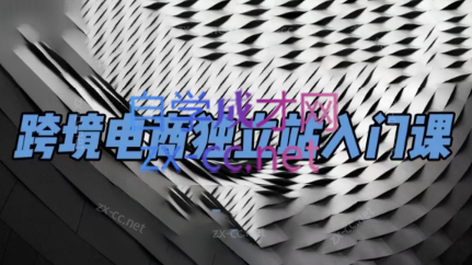 团长·跨境电商独立站入门课(2小时精华)-泱泱学习社