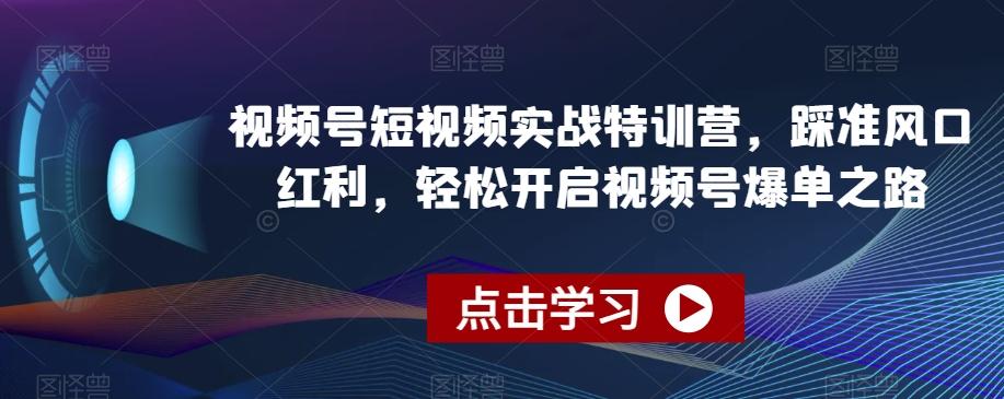 视频号短视频实战特训营，踩准风口红利，轻松开启视频号爆单之路-泱泱学习社