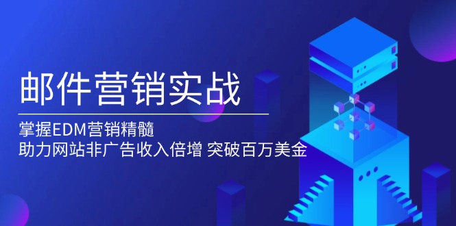 邮件营销实战，掌握EDM营销精髓，助力网站非广告收入倍增，突破百万美金-泱泱学习社