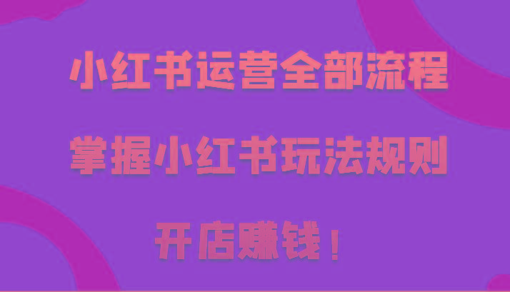 小红书运营全部流程，掌握小红书玩法规则，开店赚钱！-泱泱学习社