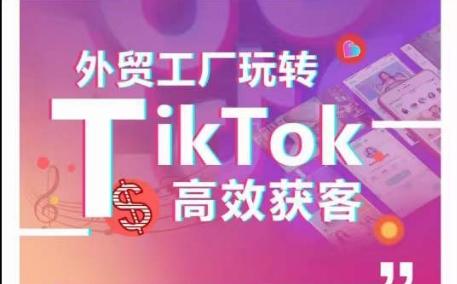 外贸工厂玩转TikTok高效获客，多种引流方式与账号定位技巧，拆解爆款短视频打造成功案例-泱泱学习社