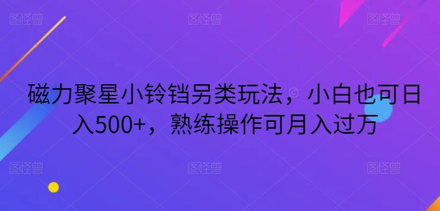 磁力聚星小铃铛另类玩法，小白也可日入500+，熟练操作可月入过万-泱泱学习社