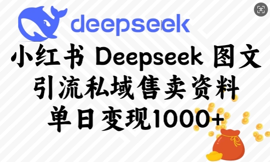 小红书Deepseek图文引流私域售卖资料，单日变现多张-泱泱学习社
