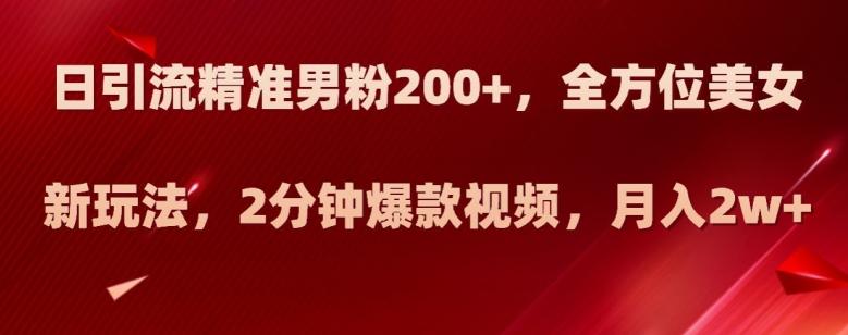 日引流精准男粉200+，全方位美女新玩法，2分钟爆款视频，月入2w+【揭秘】-泱泱学习社