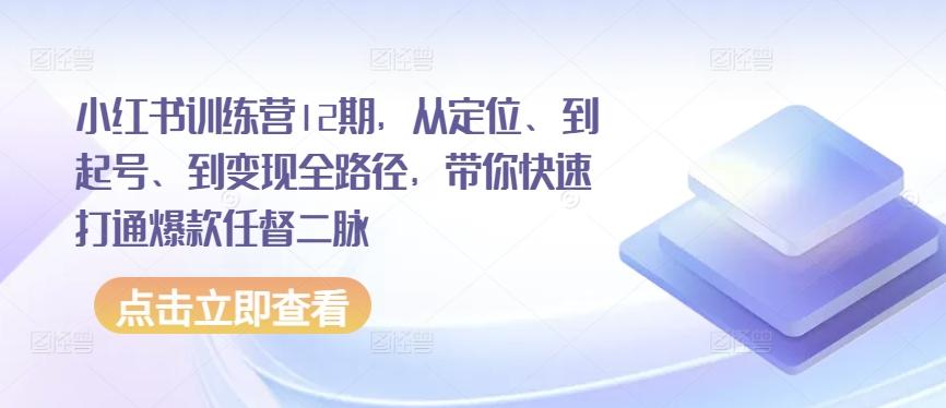 小红书训练营12期，从定位、到起号、到变现全路径，带你快速打通爆款任督二脉-泱泱学习社