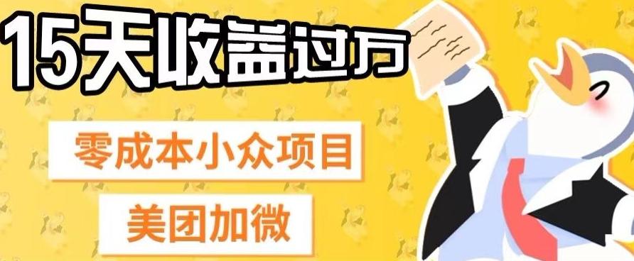 零成本小众项目，美团加微，一单4.5+，15天已经有人赚上万收益-泱泱学习社