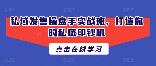 私域发售操盘手实战班，打造你的私域印钞机-泱泱学习社