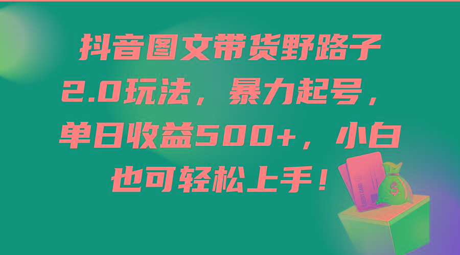 (9790期)抖音图文带货野路子2.0玩法，暴力起号，单日收益500+，小白也可轻松上手！-泱泱学习社