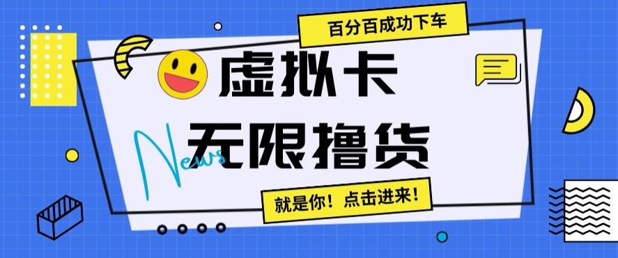 虚拟卡无限撸货，百分百成功下车【仅揭秘】-泱泱学习社