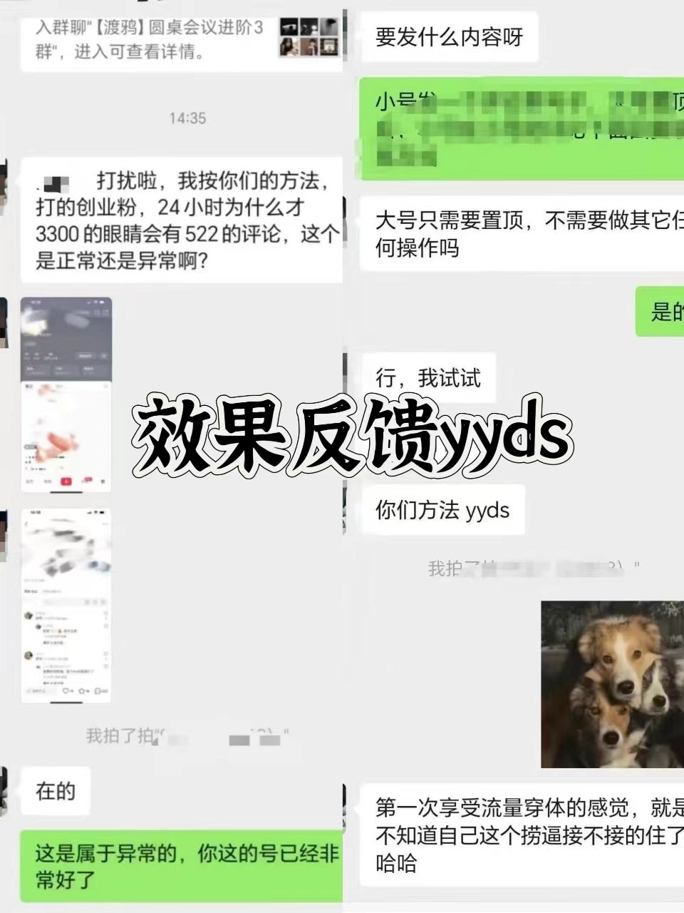 图片[3]-抖音小红书视频号全平台引流打法，全自动引流日引2000+精准客户-泱泱学习社