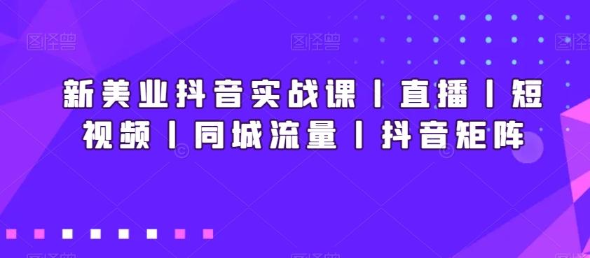 新美业抖音实战课丨直播丨短视频丨同城流量丨抖音矩阵-泱泱学习社