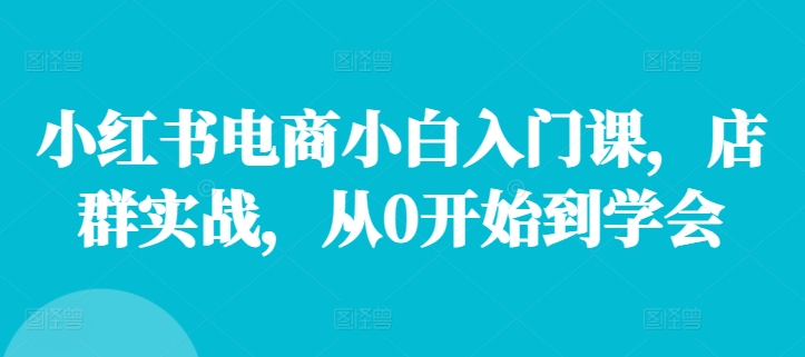 小红书电商小白入门课，店群实战，从0开始到学会-泱泱学习社