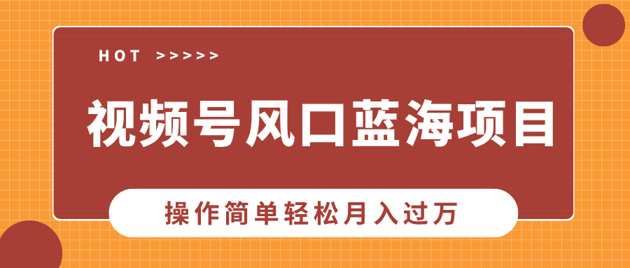 视频号风口蓝海项目，中老年人的流量密码，操作简单轻松月入过万-泱泱学习社