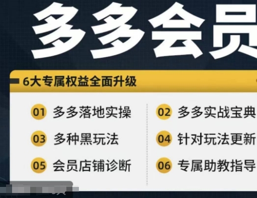 拼多多会员，拼多多实战宝典+实战落地实操，从新手到高阶内容全面覆盖-泱泱学习社