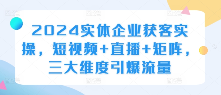 2024实体企业获客实操，短视频+直播+矩阵，三大维度引爆流量-泱泱学习社