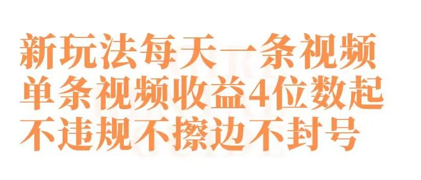 快手新玩法每天一条视频单条视频收益4位数起不违规不擦边不封号【揭秘】-泱泱学习社