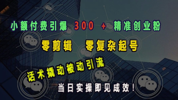 小额付费引爆 300 + 精准创业粉，零剪辑、零复杂起号，话术撬动被动引流，当日实操即见成效-泱泱学习社