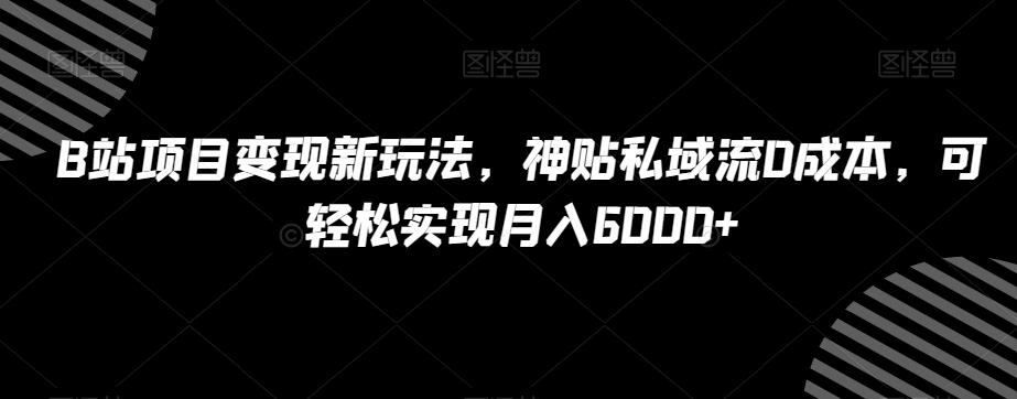 B站项目变现新玩法，神贴私域流0成本，可轻松实现月入6000+【揭秘】-泱泱学习社