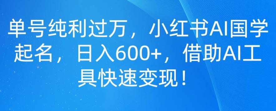单号纯利过万，小红书AI国学起名，日入600+，借助AI工具快速变现-泱泱学习社