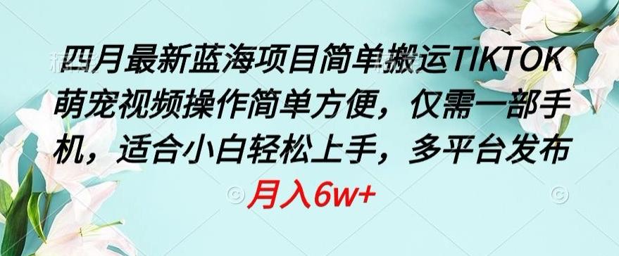 四月最新蓝海项目，简单搬运TIKTOK萌宠视频，操作简单方便，仅需一部手机【揭秘】-泱泱学习社