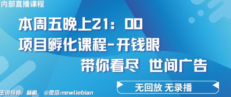 4.26日内部回放课程《项目孵化-开钱眼》赚钱的底层逻辑【揭秘】-泱泱学习社