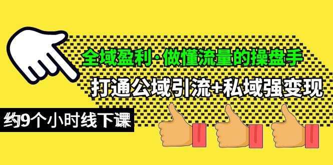 (10045期)全域盈利·做懂流量的操盘手，打通公域引流+私域强变现，约9个小时线下课-泱泱学习社