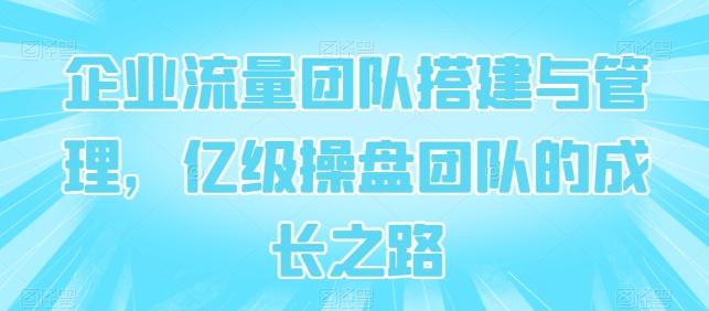 企业流量团队搭建与管理，亿级操盘团队的成长之路-泱泱学习社