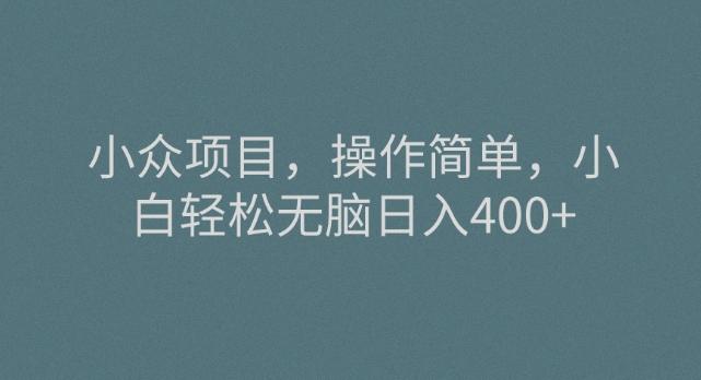 小众项目，操作简单，小白轻松无脑日入400+-泱泱学习社