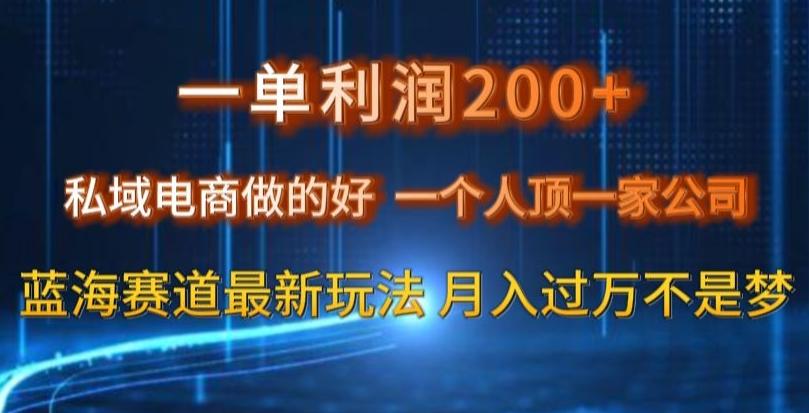 一单利润200私域电商做的好，一个人顶一家公司蓝海赛道最新玩法【揭秘】-泱泱学习社
