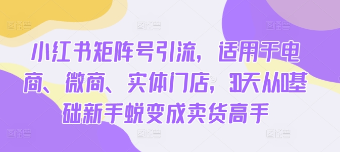 小红书矩阵号引流，适用于电商、微商、实体门店，30天从0基础新手蜕变成卖货高手-泱泱学习社