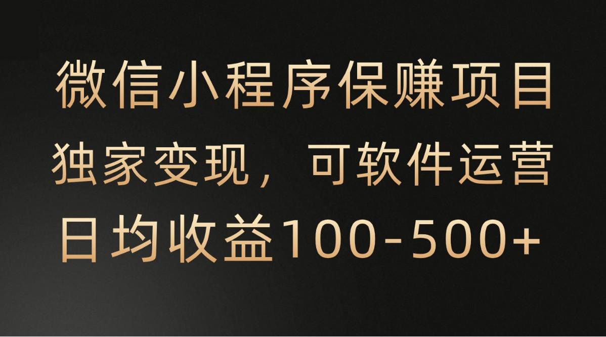 微信小程序，腾讯保赚项目，可软件自动运营，日均100-500+收益有保障-泱泱学习社