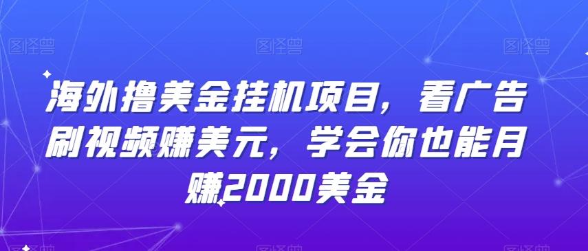 海外撸美金挂机项目，看广告刷视频赚美元，学会你也能月赚2000美金-泱泱学习社