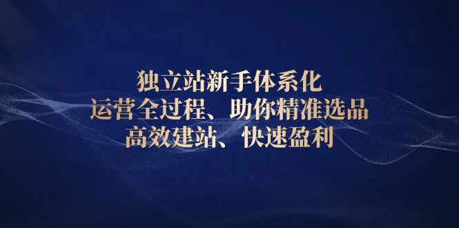独立站新手体系化 运营全过程，助你精准选品、高效建站、快速盈利-泱泱学习社