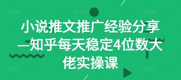 小说推文推广经验分享—知乎每天稳定4位数大佬实操课-泱泱学习社