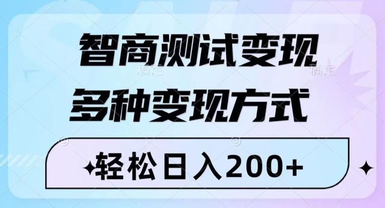 智商测试变现，轻松日入200+，几分钟一个视频，多种变现方式-泱泱学习社