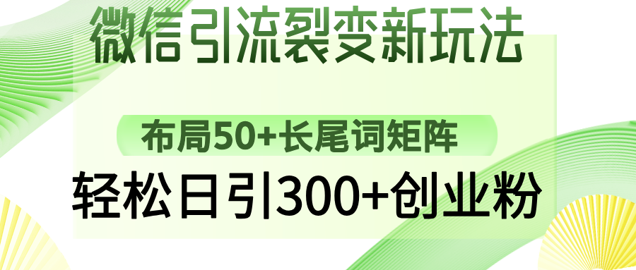 微信引流裂变新玩法：布局50+长尾词矩阵，轻松日引300+创业粉-泱泱学习社