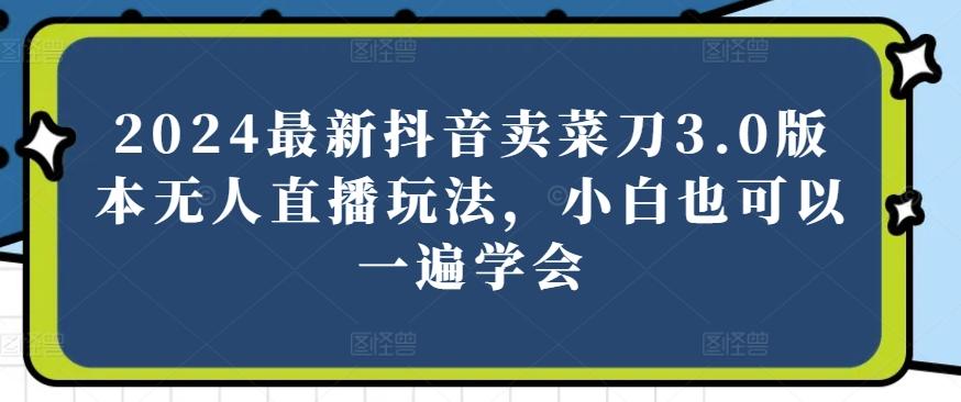2024最新抖音卖菜刀3.0版本无人直播玩法，小白也可以一遍学会【揭秘】-泱泱学习社