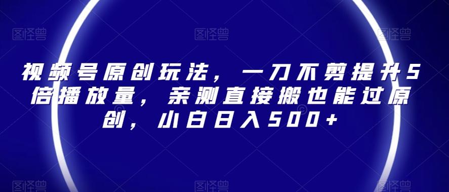 视频号原创玩法，一刀不剪提升5倍播放量，亲测直接搬也能过原创，小白日入500+【揭秘】-泱泱学习社