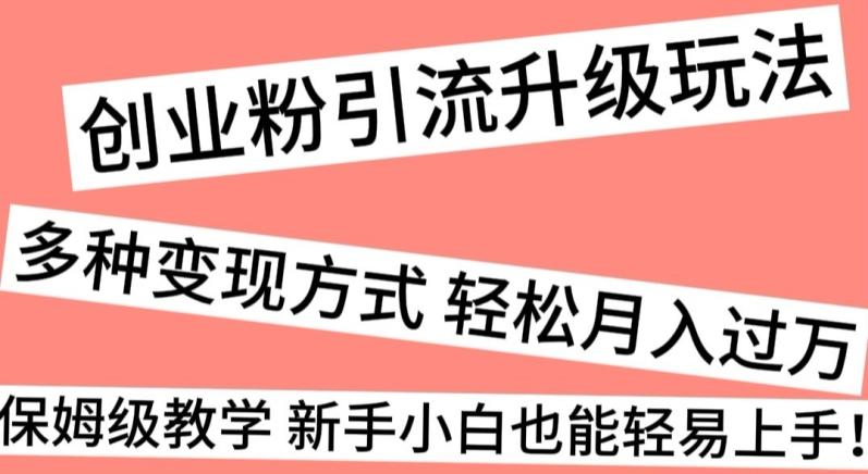 创业粉引流升级玩法，多种变现方式轻松月入过万，保姆级教学新手小白也能轻易上手！-泱泱学习社