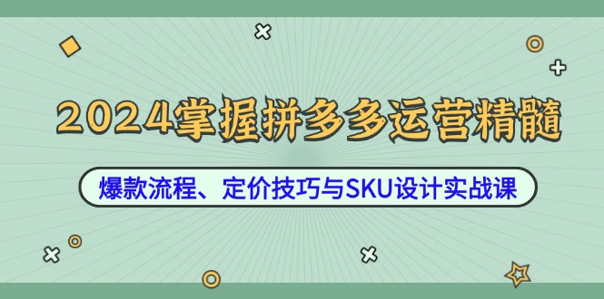 2024掌握拼多多运营精髓：爆款流程、定价技巧与SKU设计实战课-泱泱学习社